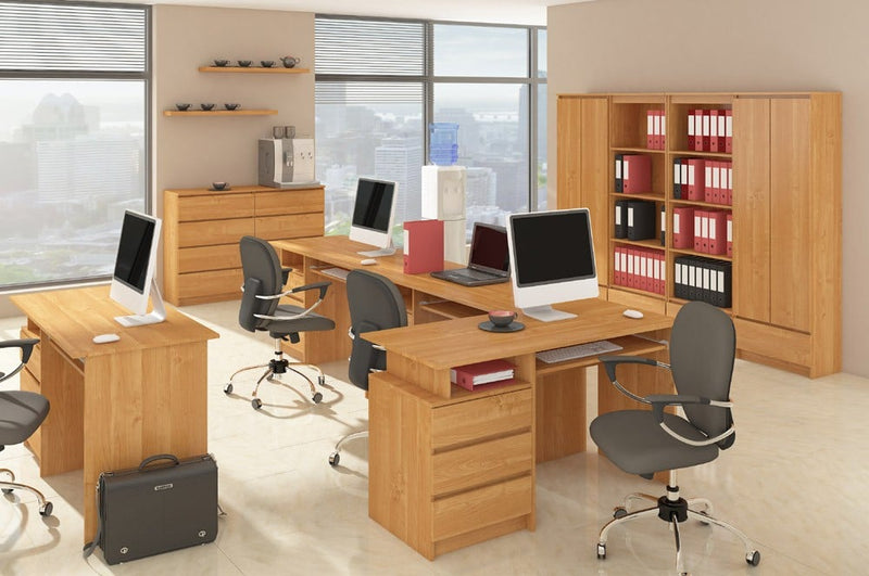 Kleiderschrank S90 2D 2SZ PK CLP Erle